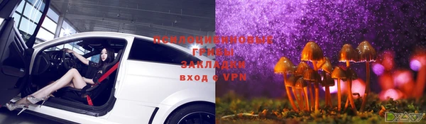 apvp Баксан