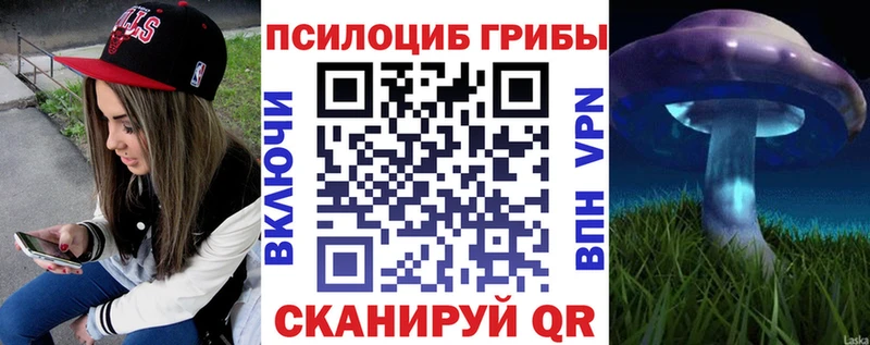 купить  цена  Корсаков  MEGA маркетплейс  Псилоцибиновые грибы Psilocybe 